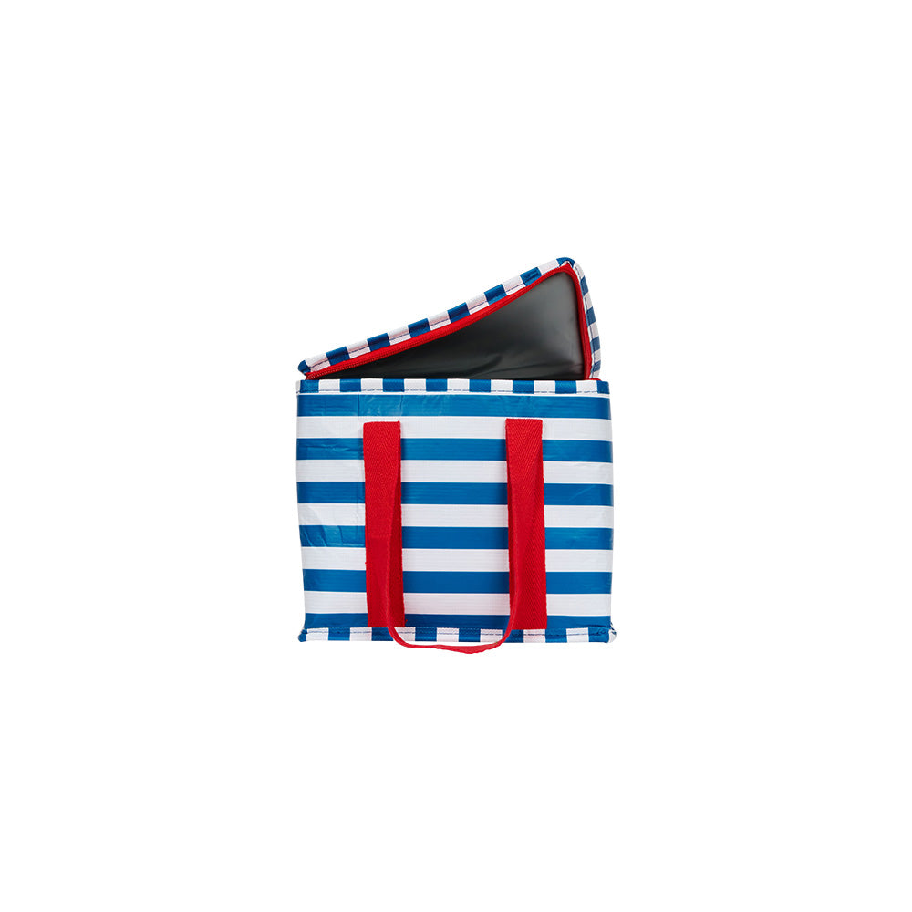 Project Ten - Mini Insulated Tote